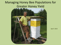 Maximizing Honey Production 2015