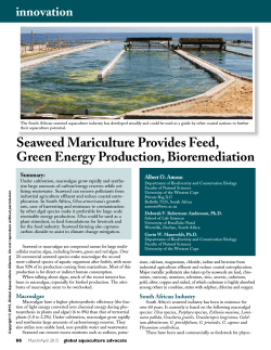 Seaweed Mariculture Provides Feed, Green Energy Production