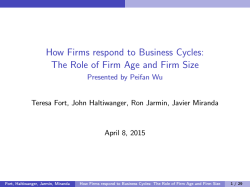 The Role of Firm Age and Firm Size