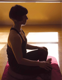 5 Reasons to Meditate - The Pema Chodron Foundation