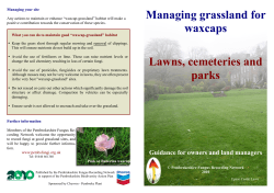 Managing grassland for waxcaps: lawns, cemeteries & parks