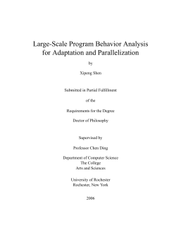 Large-Scale Program Behavior Analysis for Adaptation and