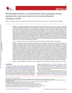 Relationships between carotenoid-based female