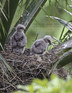 2014 Annual Report - The Peregrine Fund