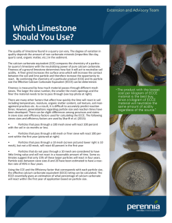 Which Limestone Should You Use?