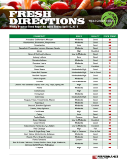FRESH DIRECTIONS - PERFORMANCE Foodservice