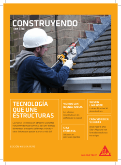 CONSTRUYENDO - Sika PerÃº
