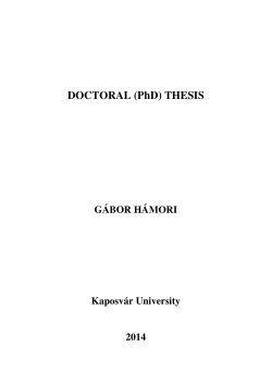 DOCTORAL (PhD) THESIS