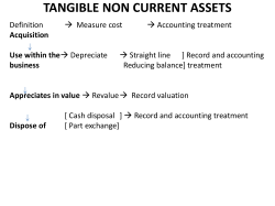 TANGIBLE NON CURRENT ASSETS
