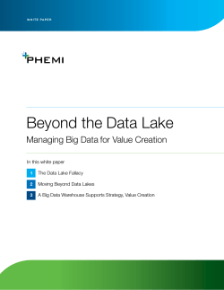 Beyond the Data Lake