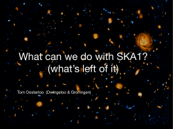 What can we do with SKA1? (what`s left of it)