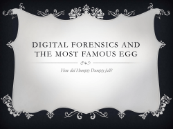 Digital Forensics and the Most Famous Egg: How