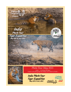 India Tiger Expedition 2015