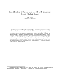 Amplification of Shocks in a Model with Labor and Goods Market