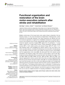 Functional organization and restoration of the brain motor
