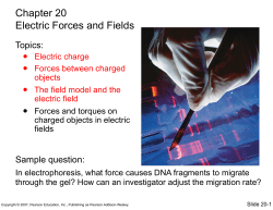 Chapter 20 Electric Forces and Fields
