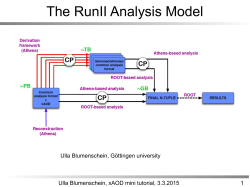 The RunII Analysis Model
