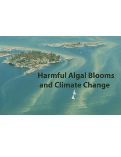 Harmful Algal Blooms and Climate Change