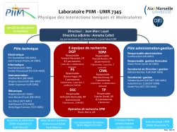 Laboratoire PIIM - UMR7345 - Physique des Interactions Ioniques et