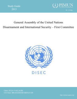 General Assembly of the United Nations Disarmament and