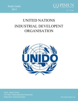 united nations industrial developent organisation
