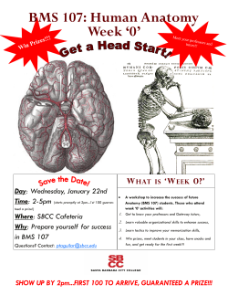 BMS 107: Human Anatomy Week `0`