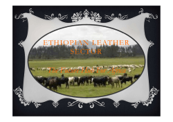 Ethiopia LIDI