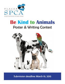 Be Kind to Animals