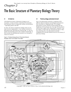 The Basic Structure of Planetary Biology Theory
