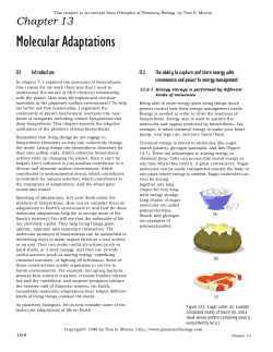 molecular adaptations 98