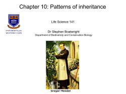 Chapter 10: Patterns of inheritance