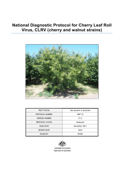 National Diagnostic Protocol for Cherry Leaf Roll Virus, CLRV