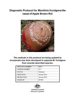 Diagnostic Protocol for Monilinia fructigena the cause of Apple