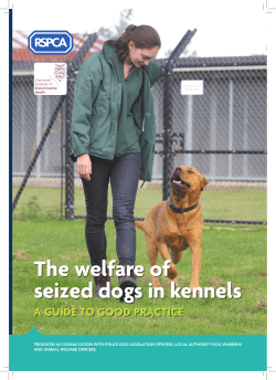 The welfare of seized dogs in kennels