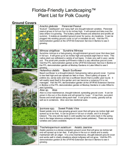 to a printable plant list!