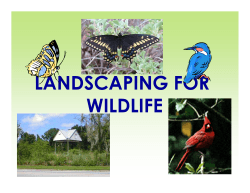 LANDSCAPING FOR WILDLIFE - Polk County Extension Office