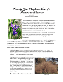 Protecting Your Waterfront â Part 2 of 2: Plants for the Waterfront
