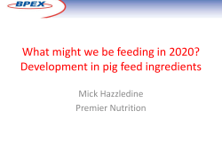 What might we be feeding in 2020? Development in pig feed
