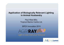 Application of Biologically Relevant Lighting in Animal