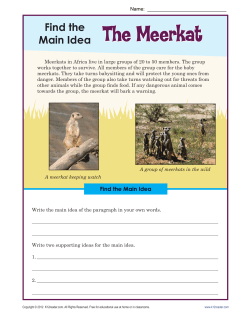 Main Idea Worksheets | The Meerkat