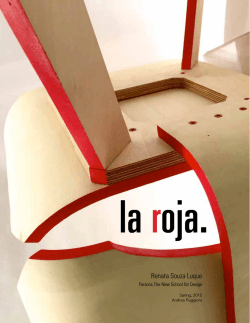 laRoja-book - The New School Portfolio