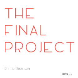 Brinna Thomsen - The New School Portfolio