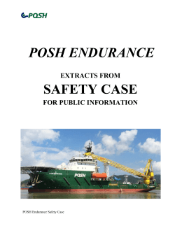 POSH ENDURANCE SAFETY CASE