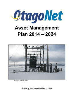 Otagonet Asset Management Plan (2014-2024)