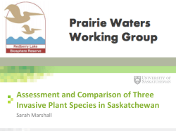Assessment and Comparison of Three Invasive Plant Species in