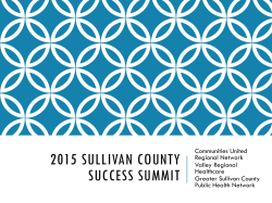 2015 Sullivan County Success Summit FINAL