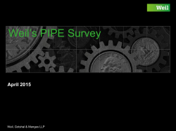 Weil`s PIPE Survey - Private Equity