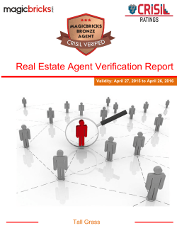 Real Estate Agent Verification Report