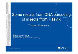 Insect DNA barcoding
