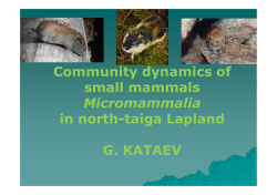 Community dynamics of small mammals Micromammalia in north